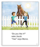 Kid Lit Level D(Culture)At Jacob's House