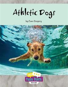 Focus Points: Athletic Dogs (L 1)