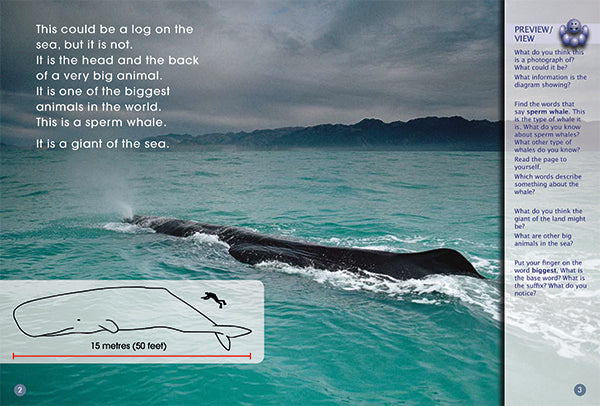 Key Links Green Book 21, Level 14: A Battle in the Deep Sea