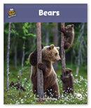 Bears (Story World Real World)