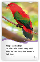 Birds (Fables & The Real World)