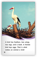 Birds (Fables & The Real World)