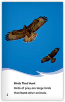 Birds of Prey (Fables & The Real World)