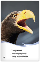 Birds of Prey (Fables & The Real World)