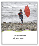 Kid Lit Level D(Weather)Blowing in the Wind