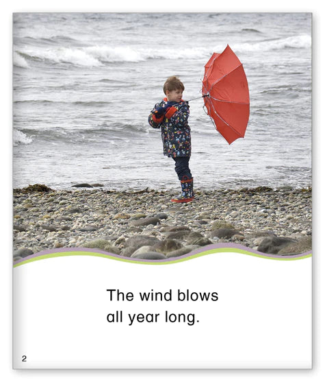Kid Lit Level D(Weather)Blowing in the Wind