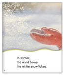 Kid Lit Level D(Weather)Blowing in the Wind