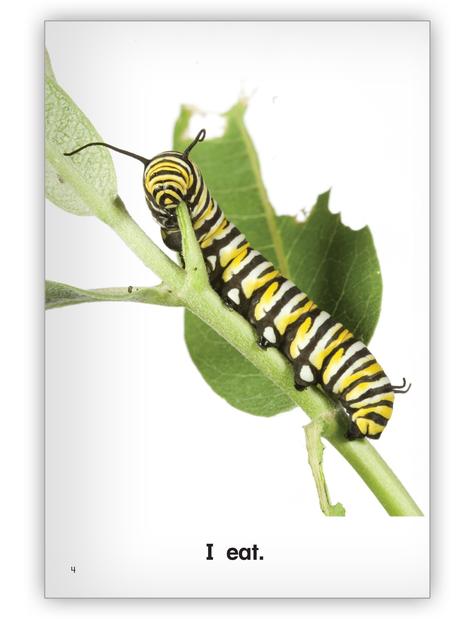 Kaleidoscope Big Book GR-A: Butterfly