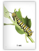 Kaleidoscope Big Book GR-A: Butterfly