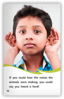 Can You See the Sea? Words that Sound Alike (Fables & The Real World)