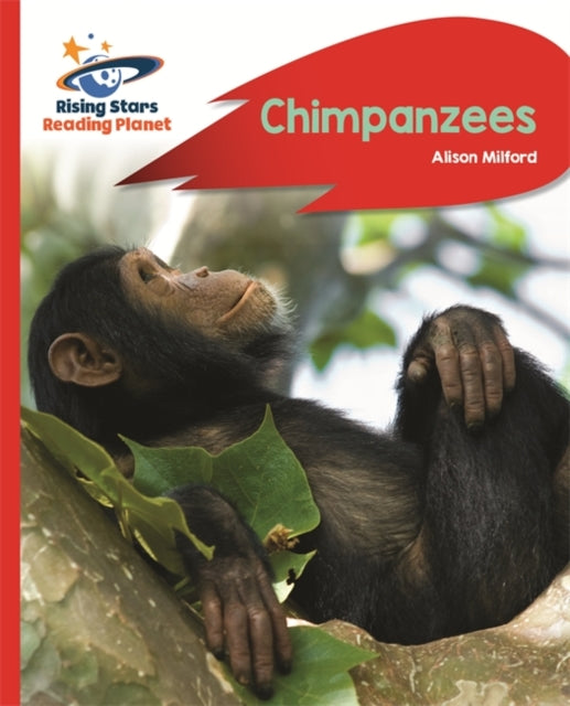 Chimpanzees(RS Rocket Phonic: Red B)