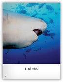 Kaleidoscope Big Book GR-A: Chomp!