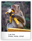 Kaleidoscope Big Book GR-A: Chomp!