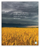 Clouds and the Weather (Level I)