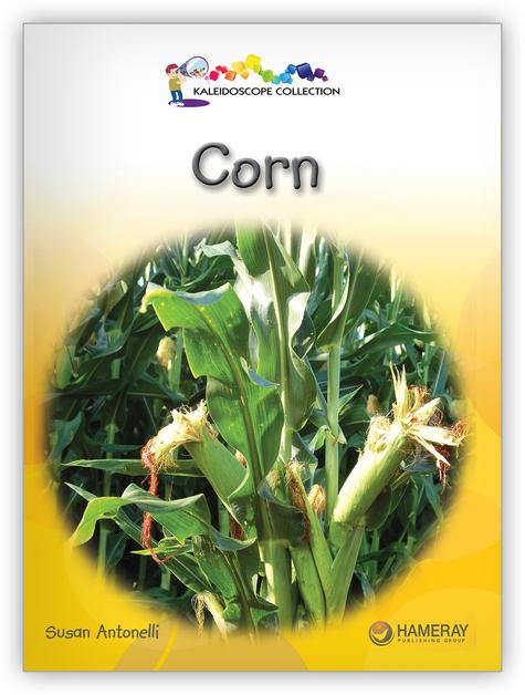 Kaleidoscope Big Book GR-D: Corn