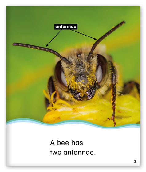 Kid Lit Level C(Community)Count with Bees