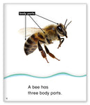 Kid Lit Level C(Community)Count with Bees