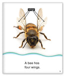 Kid Lit Level C(Community)Count with Bees