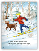 Kaleidoscope GR-G:  Cross- Country Skiing