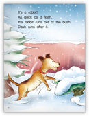 Kaleidoscope GR-H: Dash's First Snow