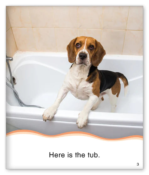Kid Lit Level A(Culture)Dog Bath