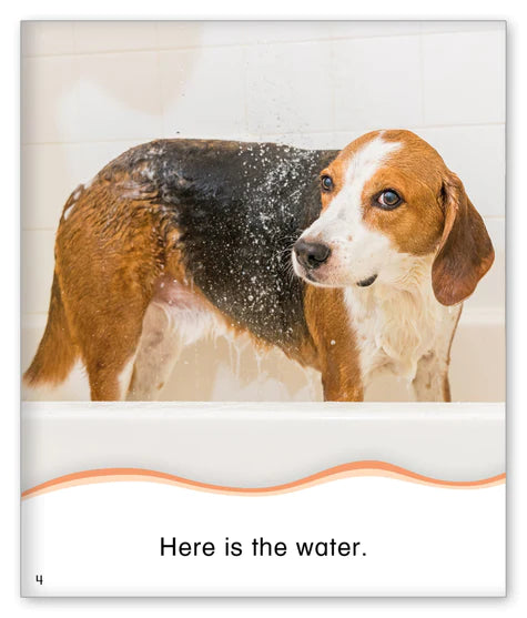 Kid Lit Level A(Culture)Dog Bath