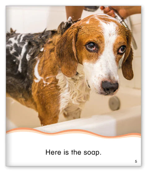 Kid Lit Level A(Culture)Dog Bath