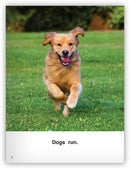 Kaleidoscope Big Book GR-A: Dogs