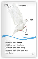 Doves (Fables & The Real World)