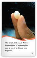 Eggs (Fables & The Real World)