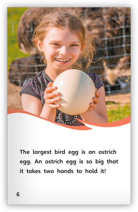Eggs (Fables & The Real World)