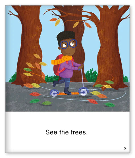 Kid Lit Level A(Weather)Fall