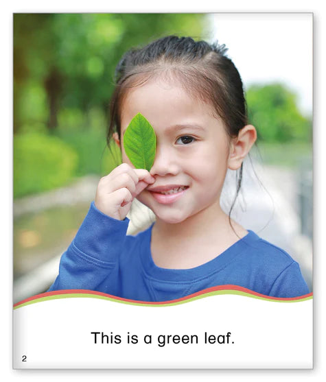 Kid Lit Level B(Weather)Fall Leaves