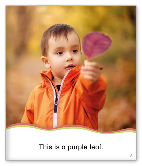Kid Lit Level B(Weather)Fall Leaves