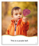 Kid Lit Level B(Weather)Fall Leaves