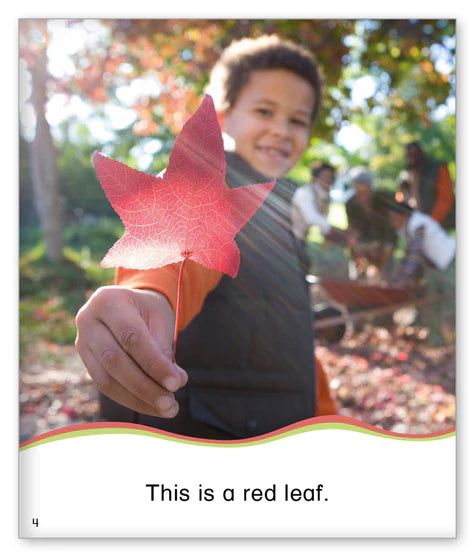 Kid Lit Level B(Weather)Fall Leaves