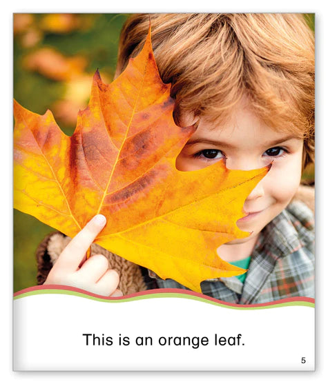 Kid Lit Level B(Weather)Fall Leaves