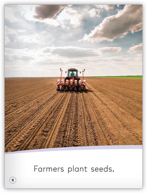 My World: Farmers Grow Food