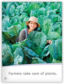 My World: Farmers Grow Food