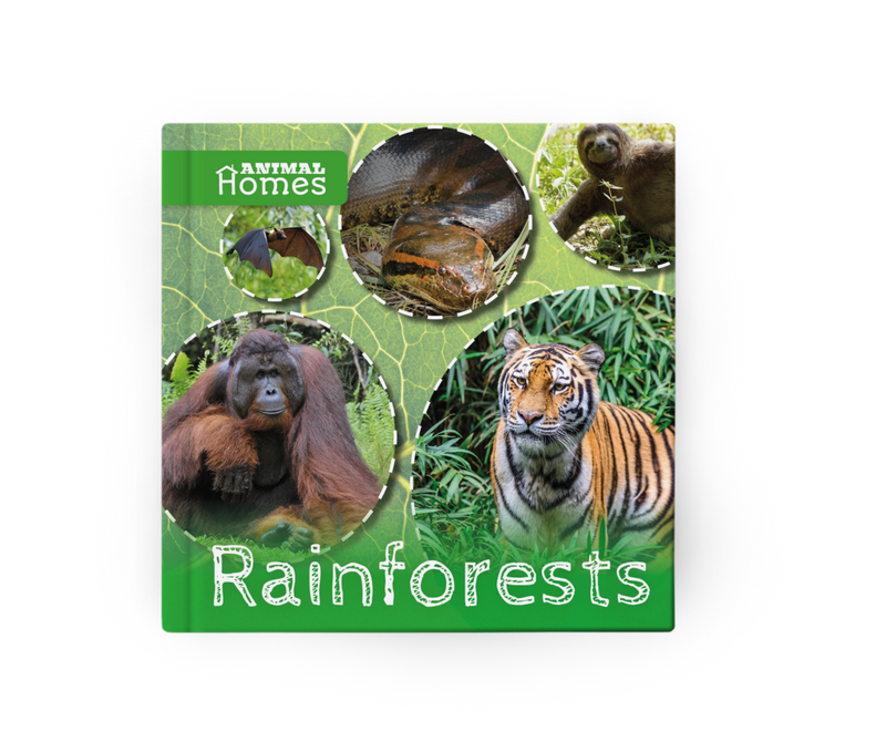Animal Homes: Rainforests