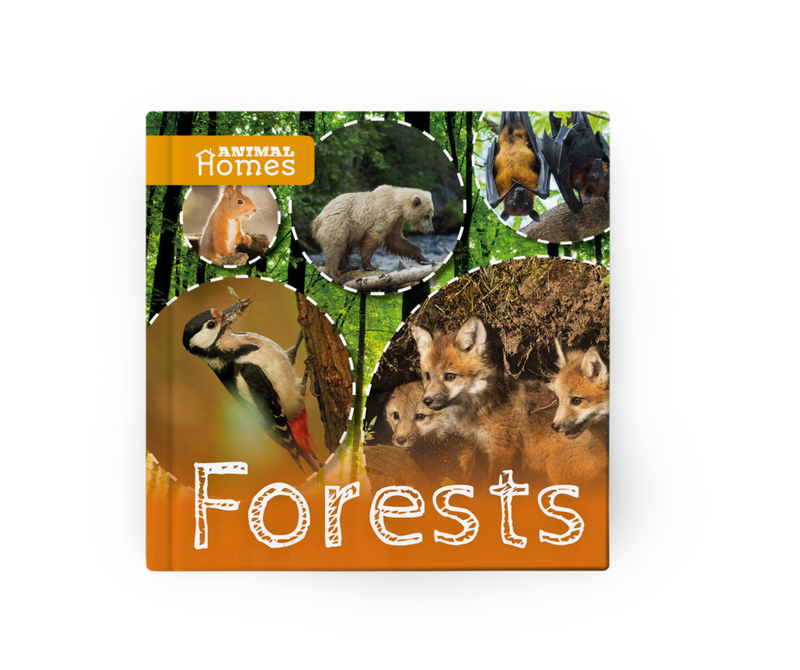 Animal Homes: Forests