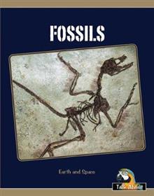 TA - Earth and Space : Fossils (L 13-14 )