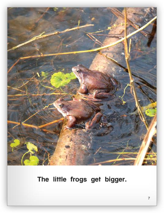 Kaleidoscope Big Book GR-C: Frogs Grow