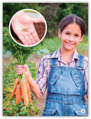 My World: From Seeds