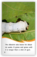 From Silkworm to Silk (Fables & The Real World)