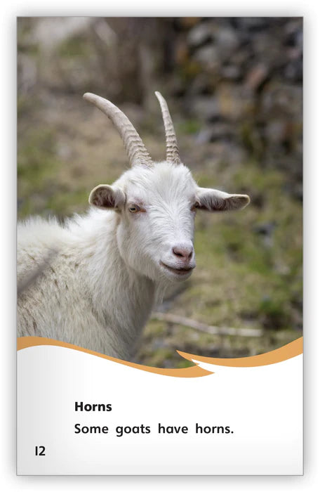 Goats on the Go (Fables & The Real World)