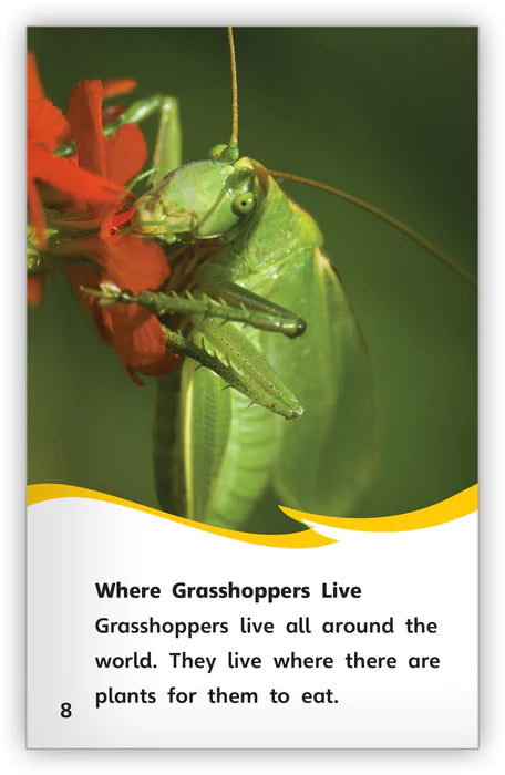 Grasshoppers (Fables & The Real World)