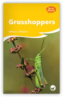 Grasshoppers (Fables & The Real World)