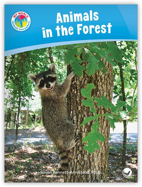 My World: Animals in the Forest