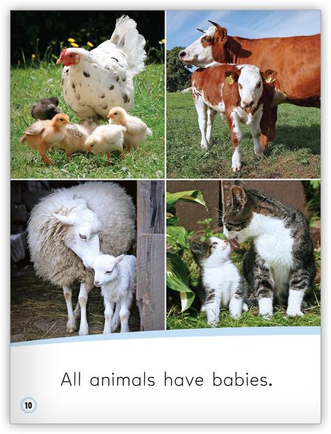 My World: Animal Babies